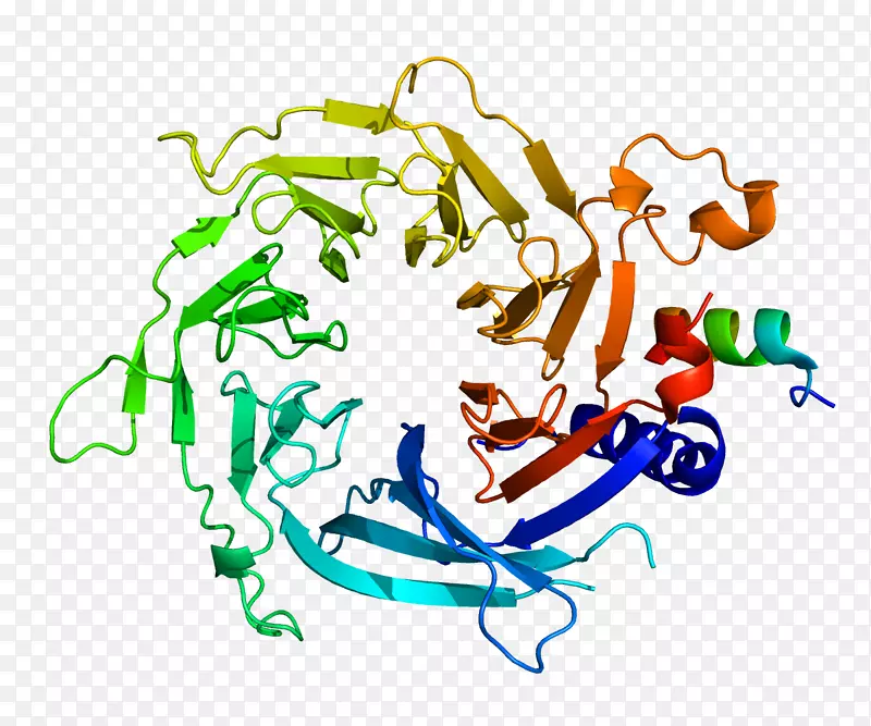 �ߵ������-��-������