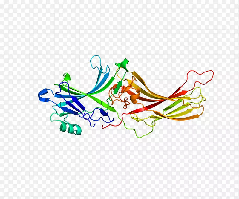 �ߵ������-��-������