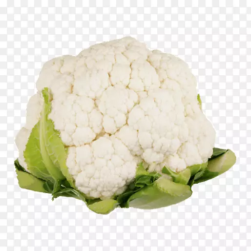 ��Ҭ�˸����߲˻�Ҭ��-������