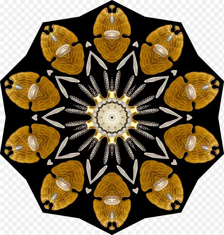 �����ͼ��ecinidea�Գ�ͼ��-������