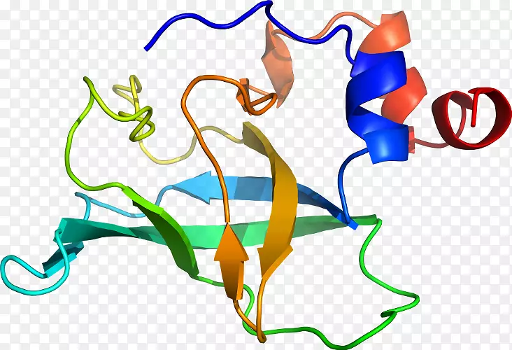 �ߵ������������-������