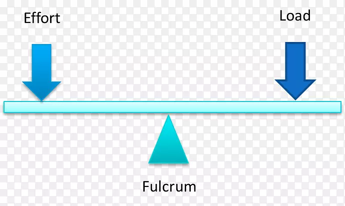 �������ķ��ɡ����桢��ѧ����֯���ӽ�-������