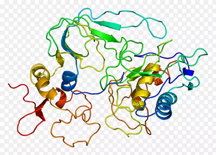 CD 47�źŵ��ڵ��צ�����ϸ��-������