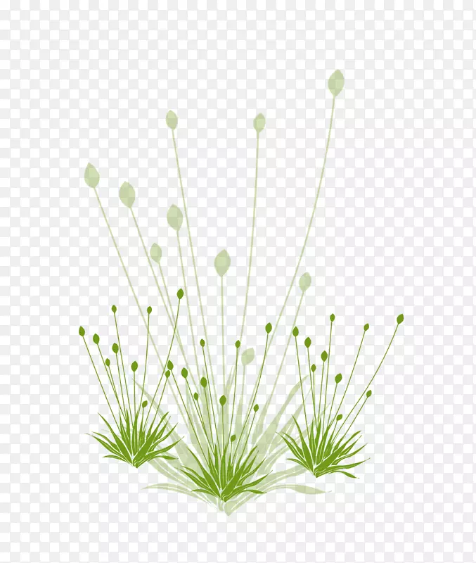 ����googleͼƬ��ͼ��-�̲�-������