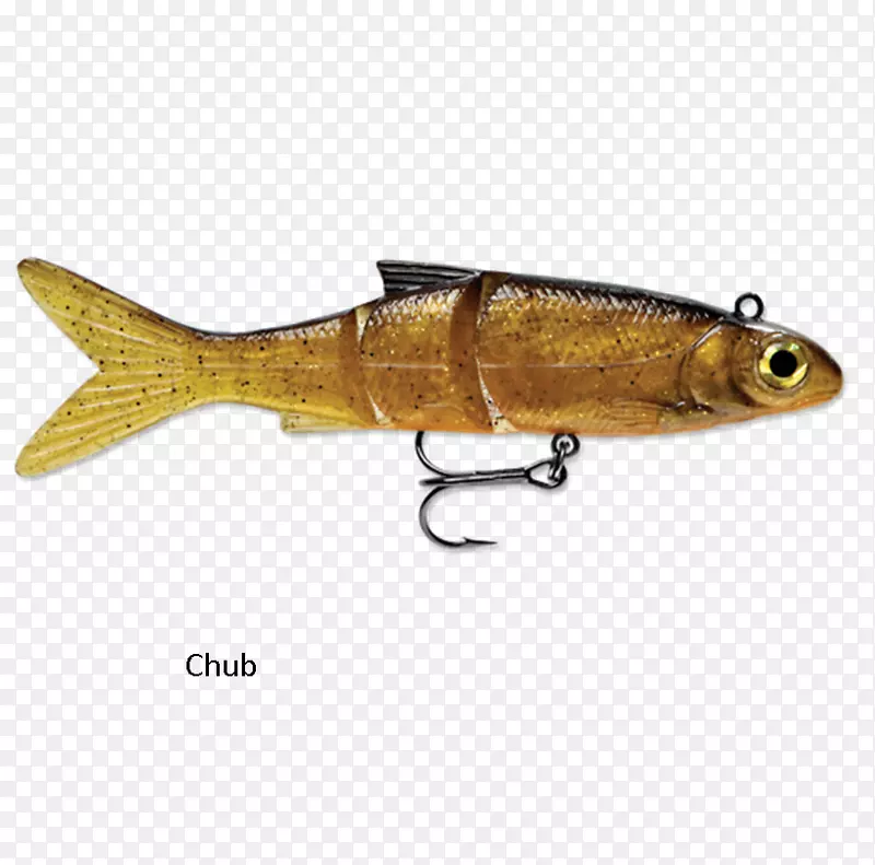 ���ӳ��ն������Ϣ-������