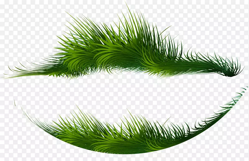 ��ɫ����-�̲�-������