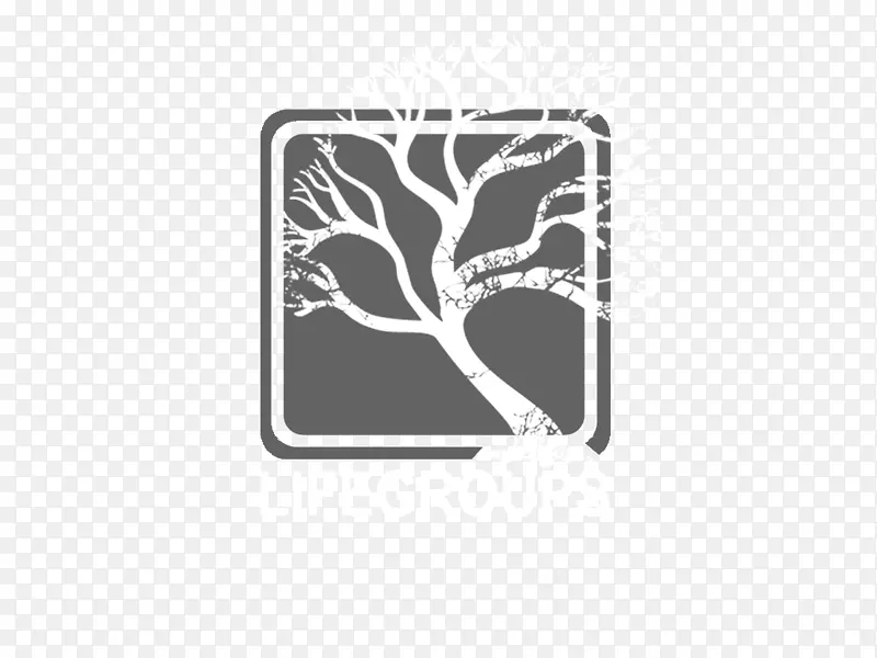 ��ɫƷ�Ƴ����ζ�������-������