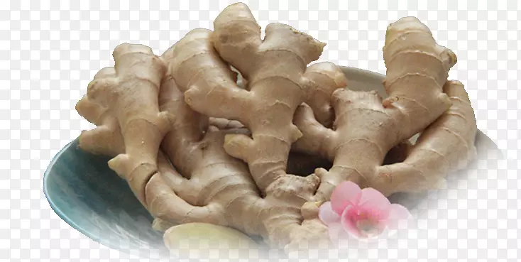 ��������ʳƷ�в�ҩ-��ʽ����-������