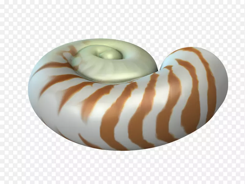 �����������ݰ�����ţ����-������