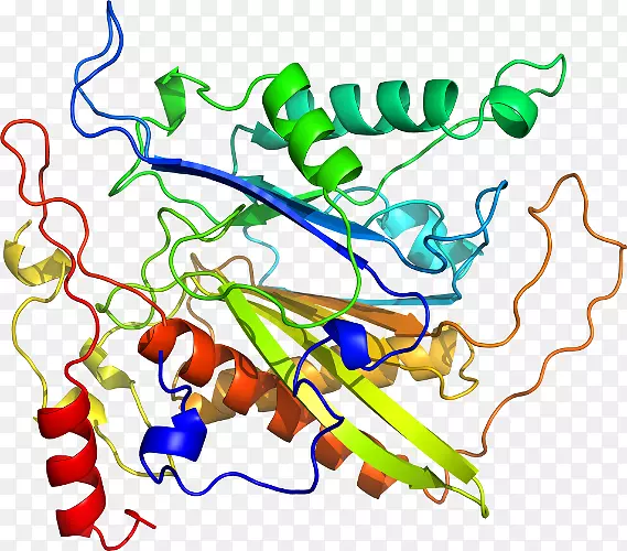 �ߵ������������-������