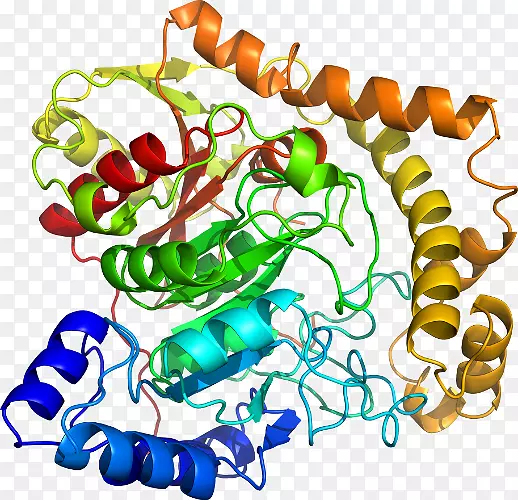 ���������л����߼�������-������