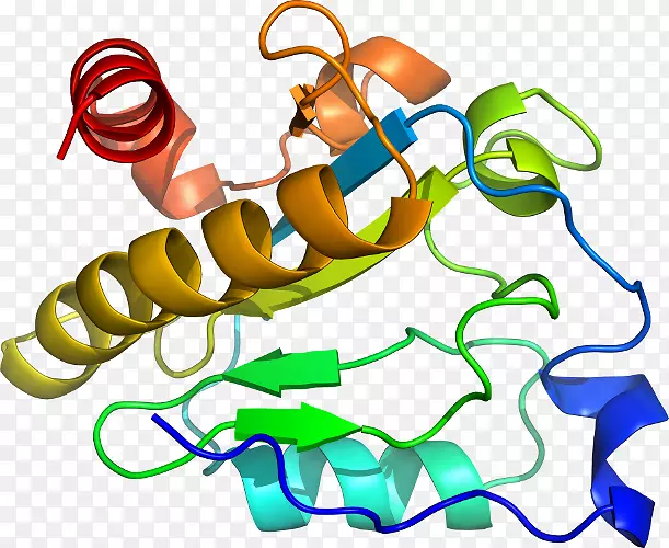 ��װ��Ʒʱ�м�����ϵ��-������