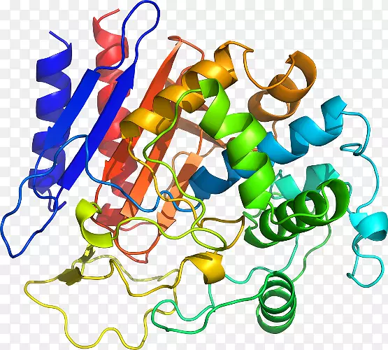 �ߵ������������-������