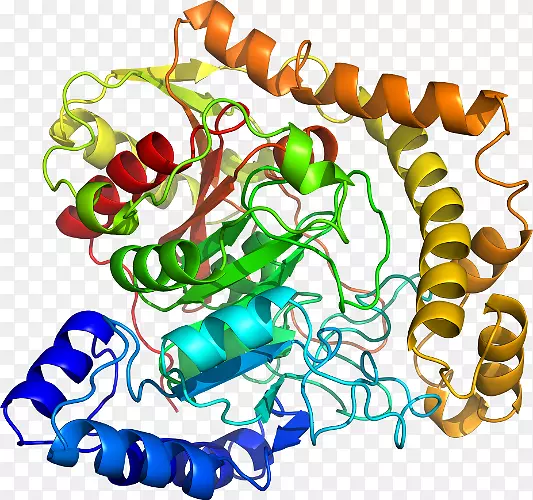 ���������л����߼�������-������