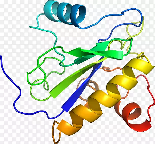 �ߵ������������-������