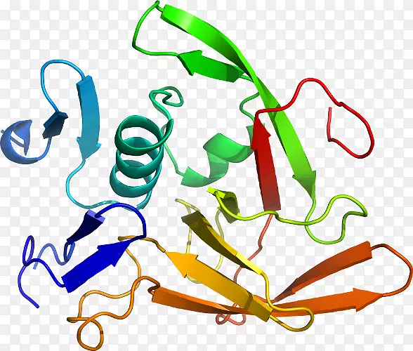 �ߵ������-��-������