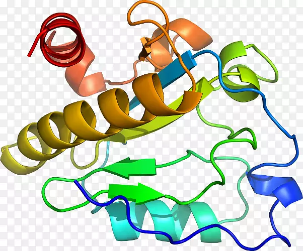 ��װ��Ʒʱ�м�����ϵ��-������
