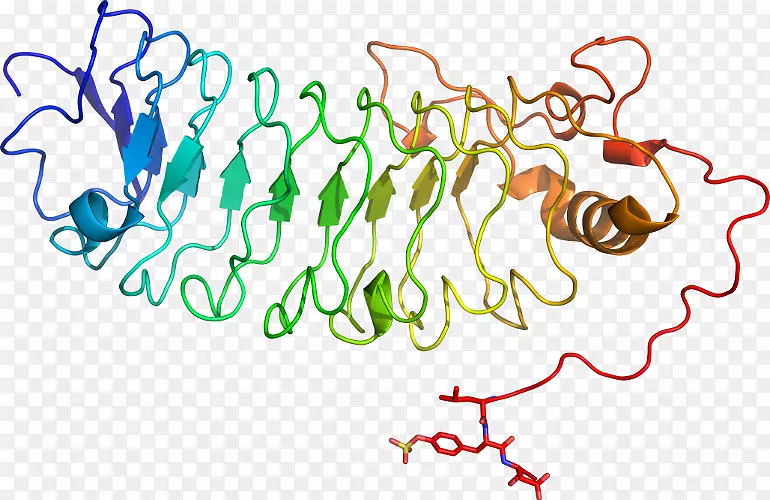 �ߵ�������������-������