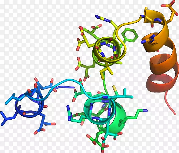 ���������л����߼�������-������