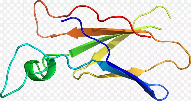 �ߵ������-��-������