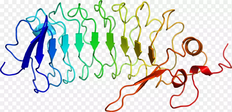 �ߵ������������-������