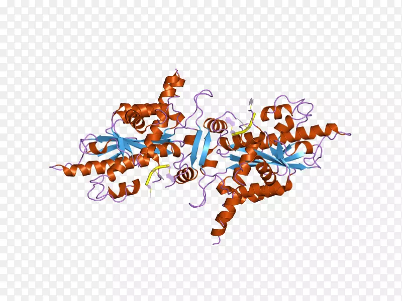 ֱ�������ֽ���������-������