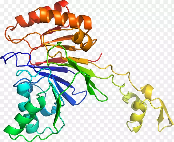 �ߵ�����Ʒ�л����������-������