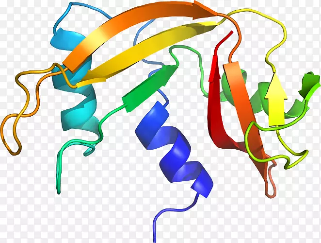 ����ƽ����Ƽ��������-������