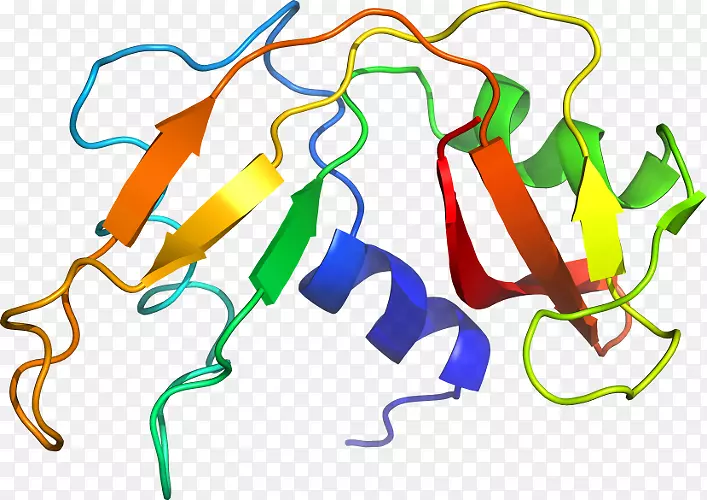 �ߵ������������-������