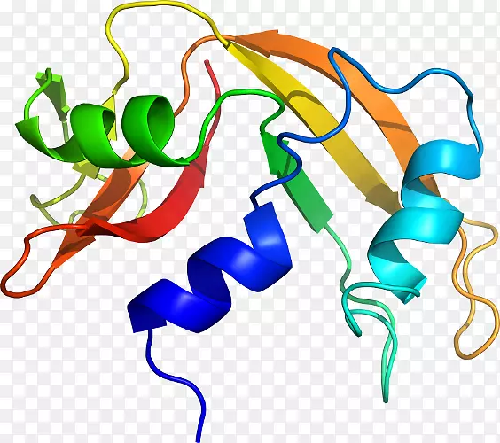 �ߵ������������-������