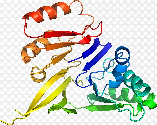 �����߶����������-������