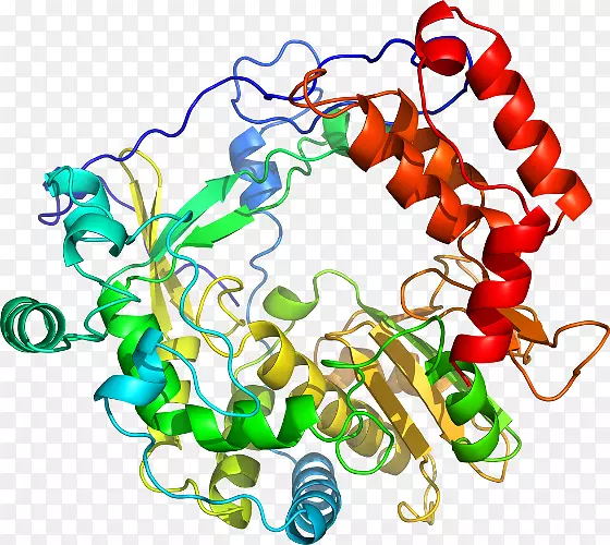 ���������л����߼�������-������