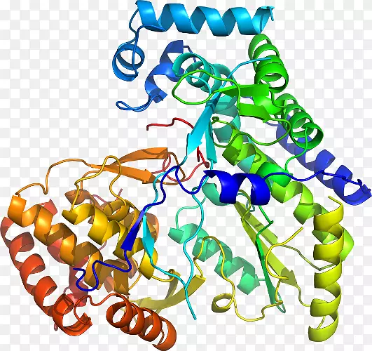 ���������鱦�л����߼�������-������