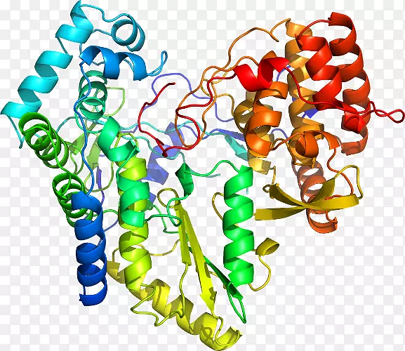 ���������鱦�л�����������鱦����-������