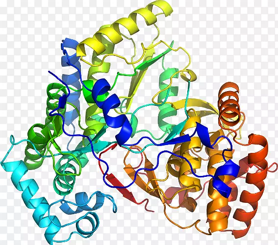 ���������л����߼�������-������