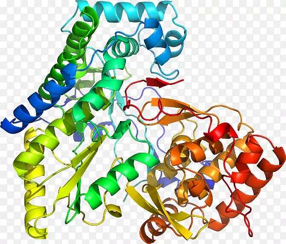 ���������л����߼�������-������