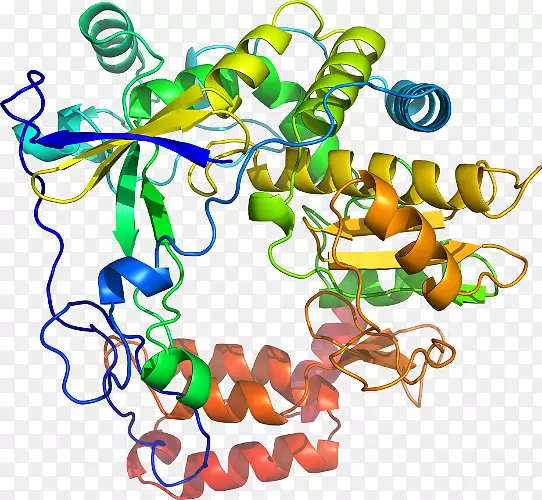 ���������л����߼�������-������