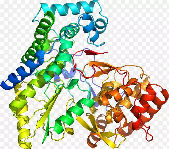 �����鱦������������-��-������