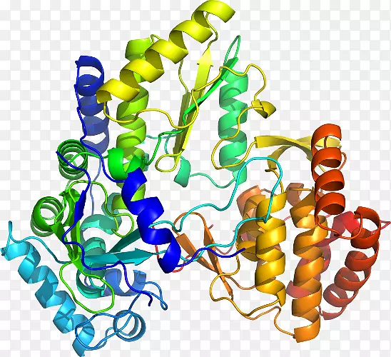 �鱦���μ�����.�鱦-������