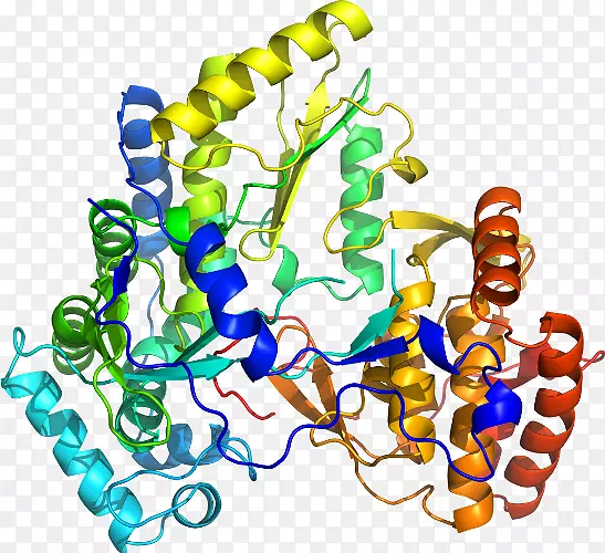���������鱦�л����߼�������-������