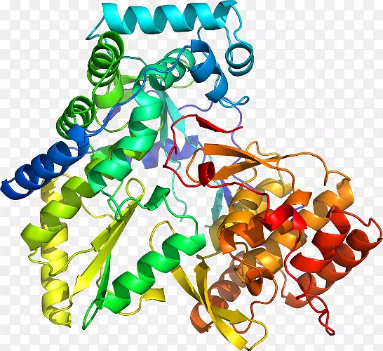 ���������л����߼�������-������