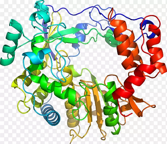 ʳ���鱦���߼�����-��-������