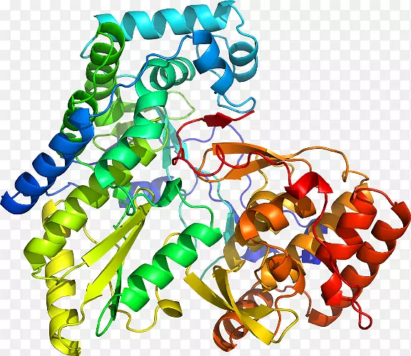 ���������л����߼�������-������