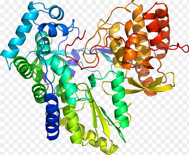 �����鱦�л��������.�鱦-������