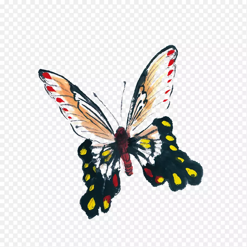 ������ˮī����Ů-װ����ͼ��������-������