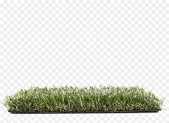 ��ƺ�ݿ�-������