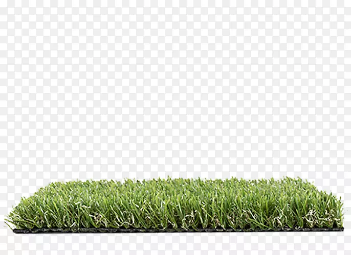 ��ƺ�ݿ�-������