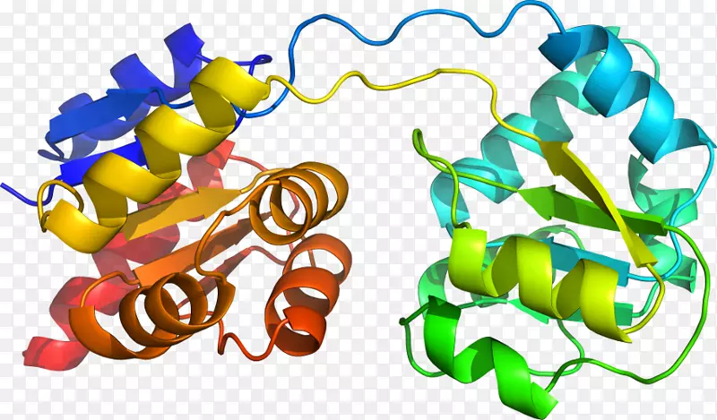 �����߶����������-������