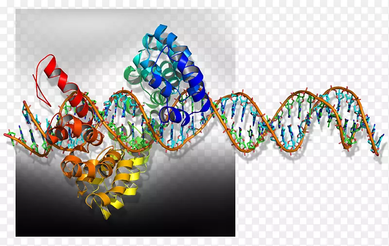 �鱦ͼ������鱦��������鱦-������