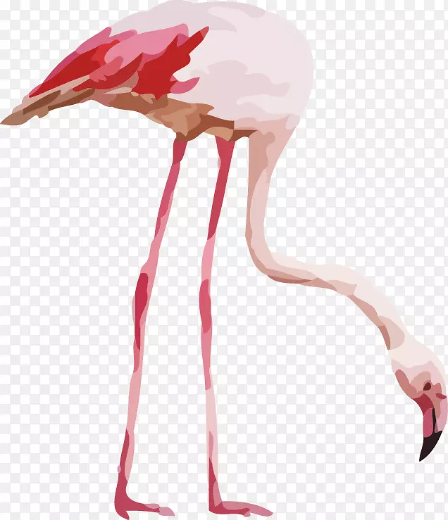 ������ˮ�ʻ����˰��ͼˮ�ʻ�����������-������